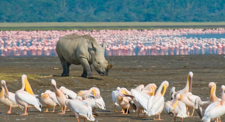 Lake Nakuru National Park