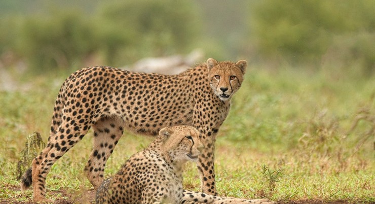 Samburu National Park