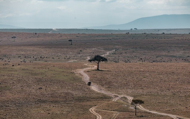 Amboseli National Park