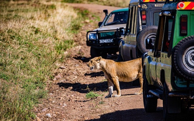 Nairobi National Park